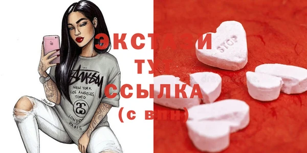 индика Бугульма