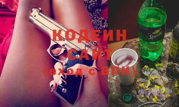 индика Бугульма