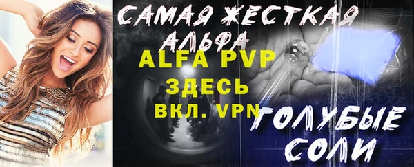 индика Бугульма