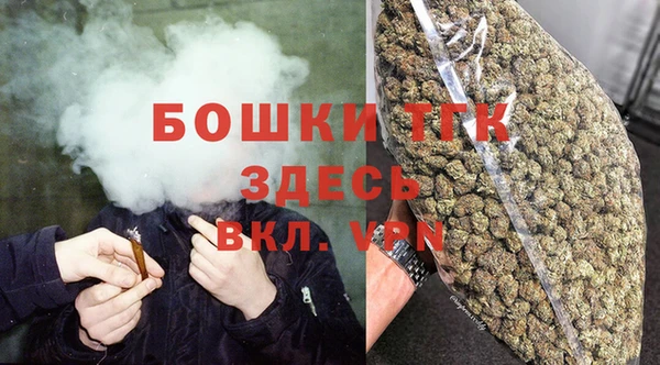 индика Бугульма