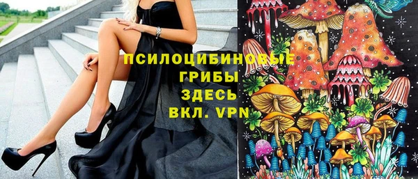 индика Бугульма