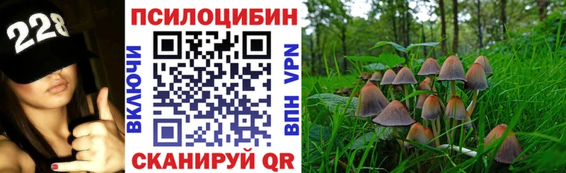 Псилоцибиновые грибы Cubensis  OMG зеркало  Колпашево 